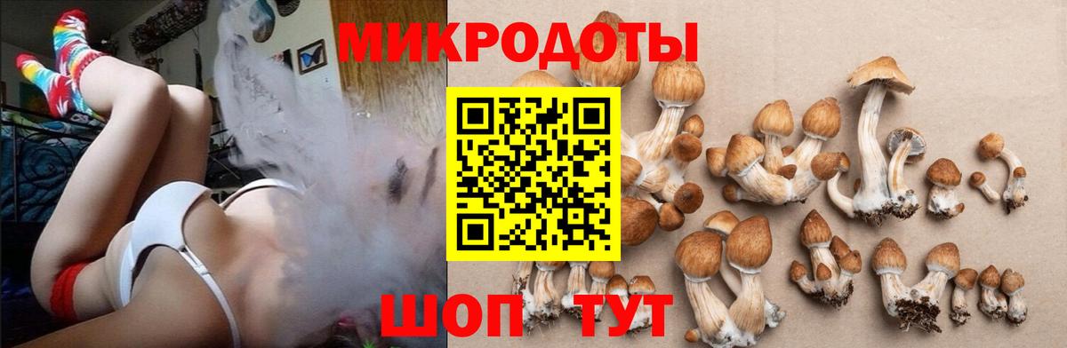 Псилоцибиновые грибы мицелий  Вход с VPN  Щёкино  Псилоцибиновые грибы GOLDEN TEACHER 